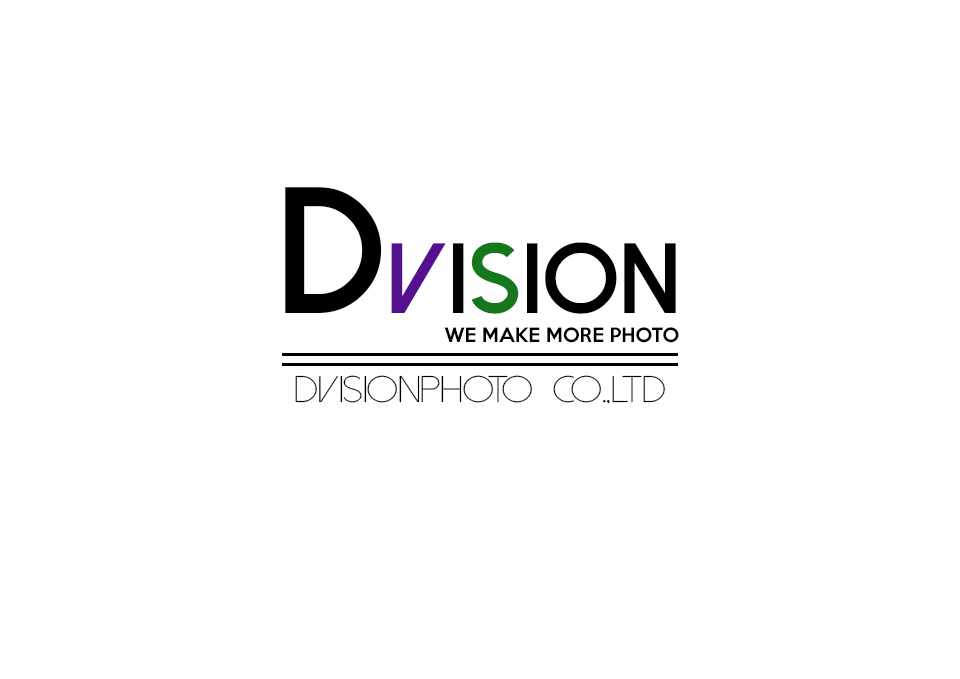 Dvision Logo